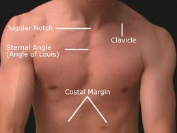 Angle of Louis, Sternal angle