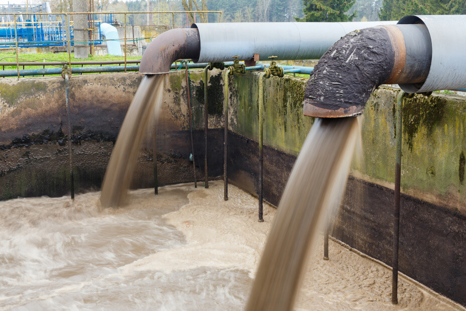 Raw Sludge Meaning In Chinese